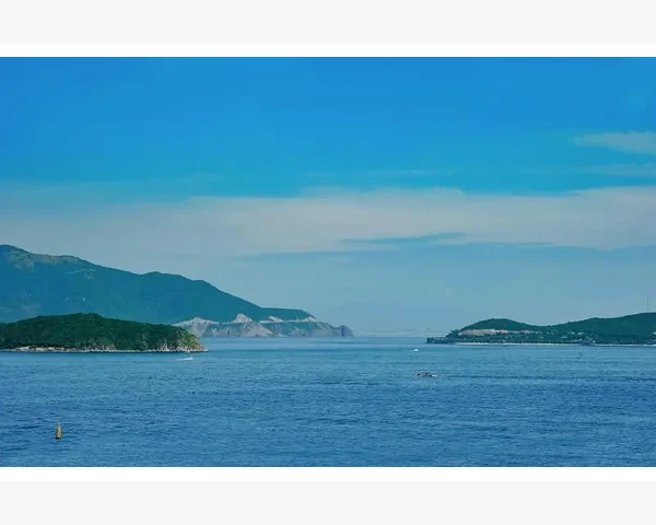 变夏天生气了，来点中医调理吧！